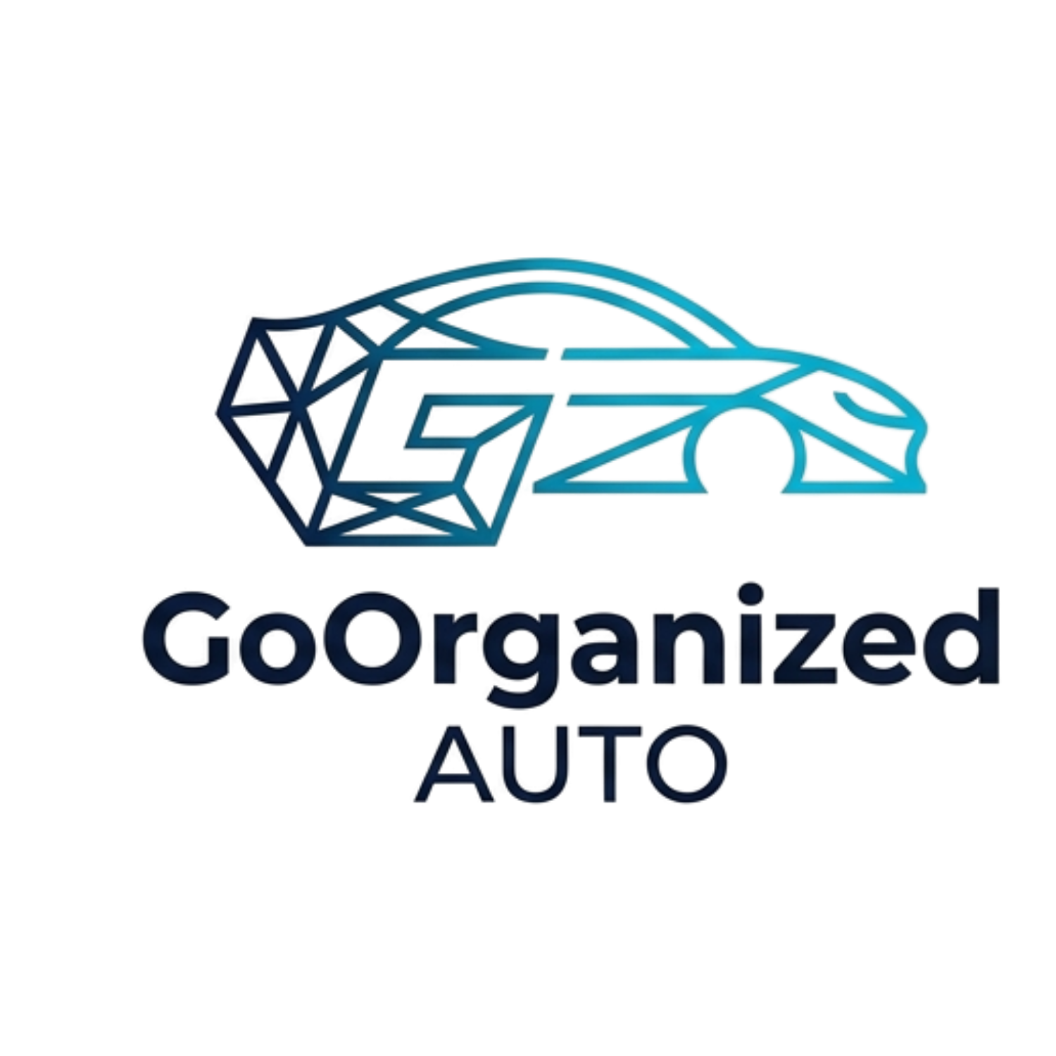 GoOrganized Auto